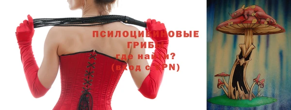 спайс Арсеньев