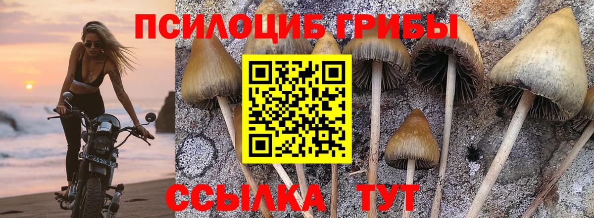 Сатка  Псилоцибиновые грибы Psilocybe  Вход с VPN 