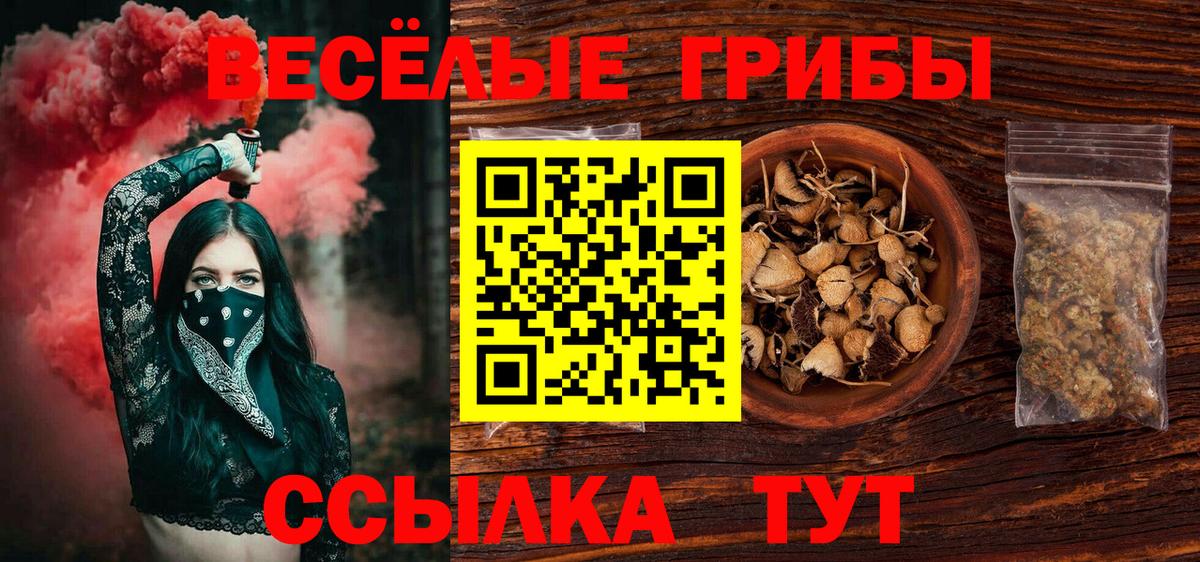 Псилоцибиновые грибы прущие грибы Сатка